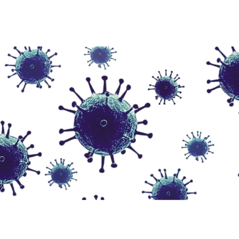 Genital Herpes
